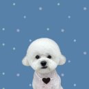 하얀이언니네 이미지