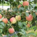 치악산축산 이미지