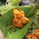 동창숯불야채닭갈비