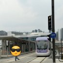 수정커피숍 - 미추홀구 석정로 388 | 위례카페 추천 : 필터커피 맛있는 하지커피숍 (성남 반려동물 동반 가능 카페)