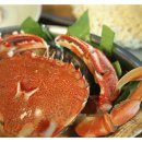 하모리-43 이미지