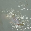 산수낚시터 이미지