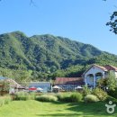 마이리틀와인 이미지