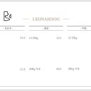 레오나르독 이미지