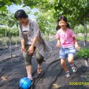 부용초등학교 이미지