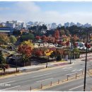 약사수변공원 이미지