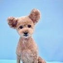 멍무드 살롱 이미지