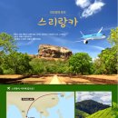 나루여행사 이미지