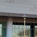 동해선 부전역 이미지