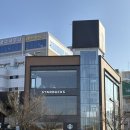 풍암호수공원 | 스타벅스 풍암호수점 광주 벚꽃명소 풍암동 카페