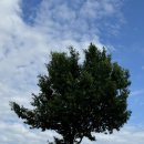 어코브 세종(ACOV) 이미지