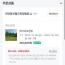 24.10.19~20 논산 연산황산벌 오토캠핑장