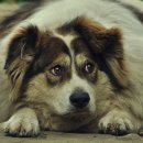 논현주공1단지 이미지