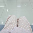 대전 세이유외과 맘모튬 시술 후기