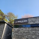 9번 | 파주 마장호수 휴 캠핑장 2만원 가성비 캠핑장 | 9번 사이트 후기 명당 추천