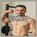 린바디핏 이미지