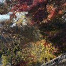 전주대사습청 | 전주[2일_#오전] 한독당 전망대카페 전주대사습청 전주국악방송 교동집 돌아본 후기