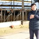 상하 금성목장 이미지