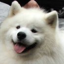 모나크갤러리 이미지