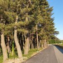 칠보산모텔 이미지