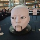 새별식품구미도시락 | [마인드투어] 5박 7일 태국 카오락 신혼여행 내돈내산(1일째)