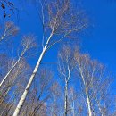 방주 농원 펜션 이미지