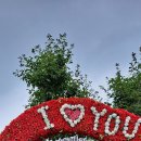 수원산뷔페 이미지