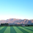 이디야커피전북모악점 이미지