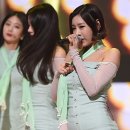 손성아 카카오 검색결과
