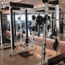 더진짜 휘트니스 이미지