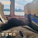비비큐 시민공원점 | 한강버스 반려견과 함께 탄 후기