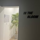 인더블룸 이미지
