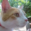 송내주유소 이미지