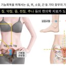 비버랑토리랑한의원 네이버블로그