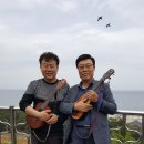 동해센타 이미지