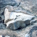 진주 유수리 백악기 화석산지 이미지