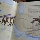 우리 아이 눈높이 세계사 이미지