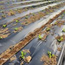 스마트종묘사 이미지