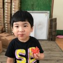 은준농장 네이버블로그
