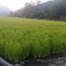 별량면사무소 이미지