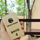 아리아리 숲속의 야영장 | 서울근교 신축 휴양림, 의왕 바라산자연휴양림 숲속의집 4동 후기