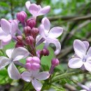 GS25청라자이 이미지