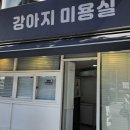 두리마트정육