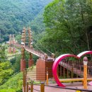 좌구산 오토캠핑장 이미지