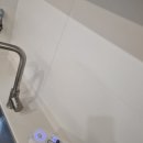 평택도시공사 노동조합 | 평택 고덕국제신도시 파라곤 욕실 바닥줄눈 시공 위생적인 공간 변화