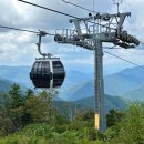 아리랑농약사 앞 (옥외1) | 강원도 정선 가볼만한곳 가족여행 코스 추천 가리왕산 케이블카