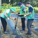 새사랑농장 이미지