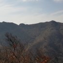 흑석산자연휴양림 티스토리
