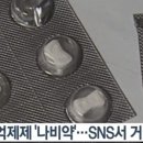 나비약국 네이버블로그