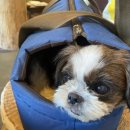 클로버팜약국 이미지